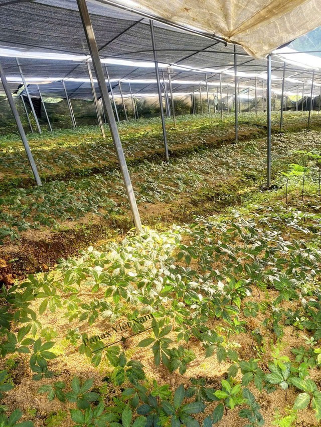 Gắn xây dựng nông thôn mới với phát triển bền vững và thích ứng biến đổi khí hậu; phấn đấu đến năm 2030 xã Mù Cang Chải đạt chuẩn nông thôn mới- Ảnh 4. Gắn xây dựng nông thôn mới với phát triển bền vững và thích ứng biến đổi khí hậu; phấn đấu đến năm 2030 xã Mù Cang Chải đạt chuẩn nông thôn mới- Ảnh 4.