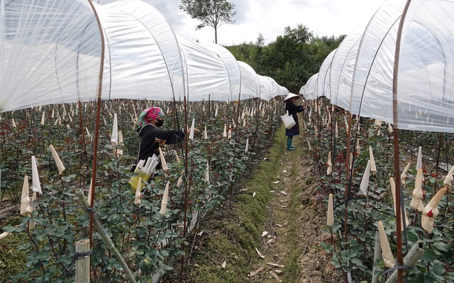 Xã Púng Luông: Ưu tiên duy trì các tiêu chí nông thôn mới có tác động trực tiếp đến đời sống sản xuất, sinh hoạt của người dân- Ảnh 2.