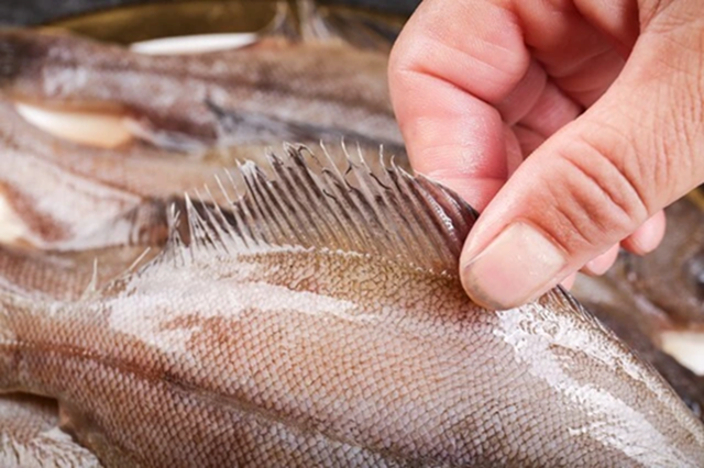 Đừng mua 5 loại cá này nữa, nhà có sẵn cũng đừng ăn, tôi mừng vì người bán cá đã tiết lộ- Ảnh 2.
