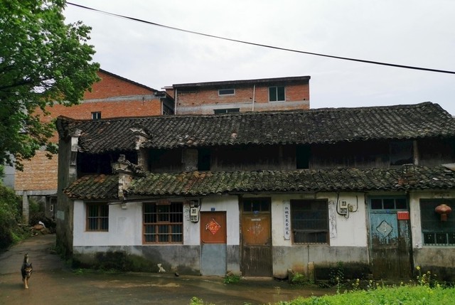 Gửi mẹ 1,4 tỷ đồng trong 3 năm, chàng trai chết sững khi về thăm nhà- Ảnh 1.