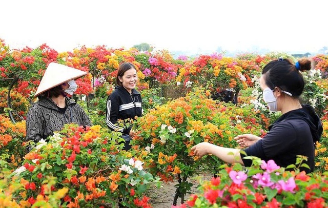 Phù Đổng bước vào kỷ  nguyên mới: Xây dựng Nông thôn mới hiện đại, số hóa và bền vững- Ảnh 3.