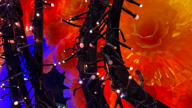 Choáng ngợp trước công nghệ điều khiển hệ thống "ánh sáng ngập trời" trong những buổi diễu hành tại Disney World- Ảnh 6.