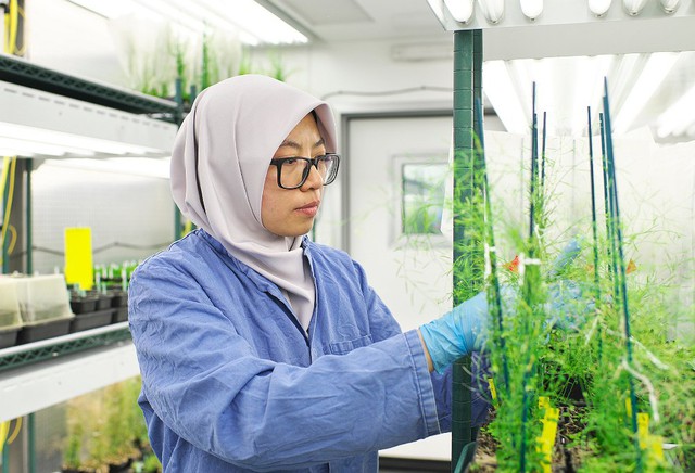 Ảnh 2. TS. Nadia Radzman sẽ mang đến những kinh nghiệm thực tiễn từ các nghiên cứu và dự án của bà trong lĩnh vực nông nghiệp và thực phẩm tại Tuần lễ Khoa học Công nghệ VinFuture năm nay. Ảnh: IE Cambridge.