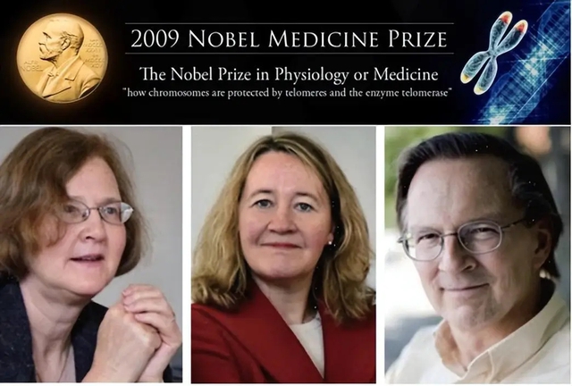 Một vạn người, có bao nhiêu người sống tới 80 tuổi -sống bao nhiêu tuổi mới được xem là “lâu sống”?- Ảnh 2.