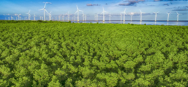 Cà Mau sau hợp nhất: Khát vọng hóa rồng từ vùng cực Nam Tổ quốc- Ảnh 5.