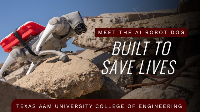 Hổ mọc th&ecirc;m c&aacute;nh: Ch&oacute; robot được t&iacute;ch hợp AI để "tự h&agrave;nh động" trong nhiệm vụ t&igrave;m kiếm v&agrave; cứu nạn- Ảnh 1.