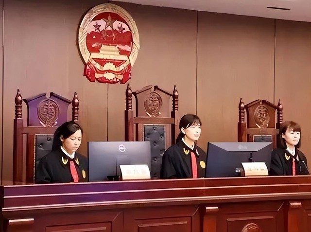 L&atilde;o n&ocirc;ng nh&agrave; ngh&egrave;o nhận nu&ocirc;i một b&eacute; g&aacute;i bị bỏ rơi, kh&ocirc;ng ngờ 23 năm sau, ch&iacute;nh c&ocirc; lại kiện &ocirc;ng ra t&ograve;a- Ảnh 3.