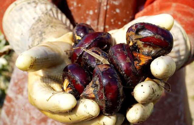 4 loại rau dễ chứa "ổ s&aacute;n", chủ sạp b&aacute;n cũng ngại ăn- Ảnh 3.