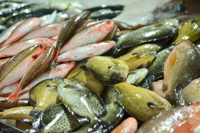 4 loại c&aacute; dễ l&agrave; "ổ kim loại nặng", ngay cả người b&aacute;n cũng &iacute;t d&aacute;m ăn- Ảnh 3.