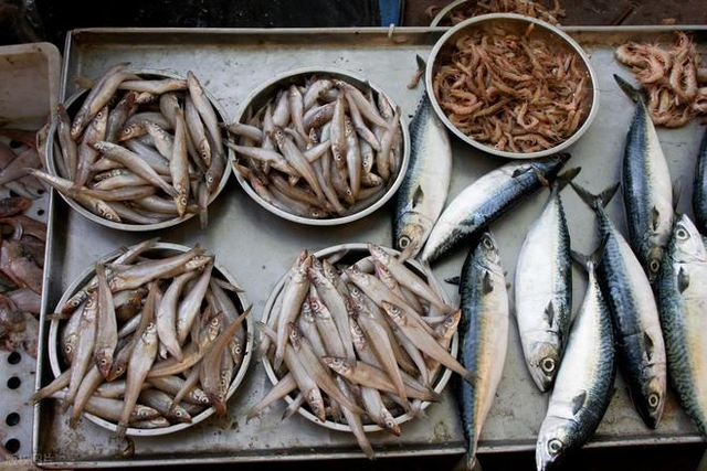 4 loại c&aacute; dễ l&agrave; "ổ kim loại nặng", ngay cả người b&aacute;n cũng &iacute;t d&aacute;m ăn- Ảnh 4.