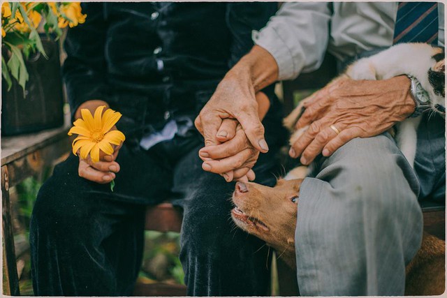 Clip 18 giây hút gần 2 triệu view: Cần bao nhiêu chân tình thời bồng bột để đổi lại một chầu Jollibee khi về già?- Ảnh 1. Clip 18 giây hút gần 2 triệu view: Cần bao nhiêu chân tình thời bồng bột để đổi lại một chầu Jollibee khi về già?- Ảnh 1.