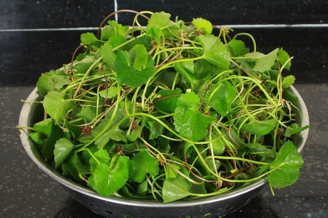 4 loại rau d&acirc;n d&atilde; ở Việt Nam được v&iacute; bổ như s&acirc;m- Ảnh 1.