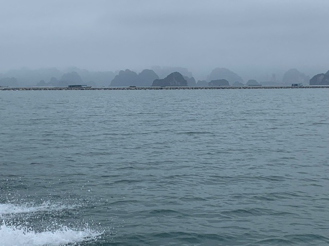 Phát triển phường Quang Hanh trở thành trung tâm du lịch, dịch vụ, thương mại chất lượng cao, đẳng cấp quốc tế- Ảnh 3. Phát triển phường Quang Hanh trở thành trung tâm du lịch, dịch vụ, thương mại chất lượng cao, đẳng cấp quốc tế- Ảnh 3.