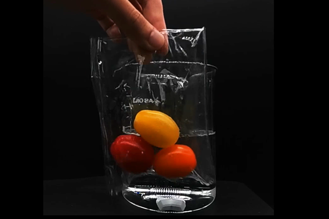 Đ&acirc;y l&agrave; &ldquo;nhựa ho&agrave;n hảo&rdquo; tới từ Nhật Bản: gốc thực vật, tan nhanh trong nước, kh&ocirc;ng để lại vi nhựa- Ảnh 1.