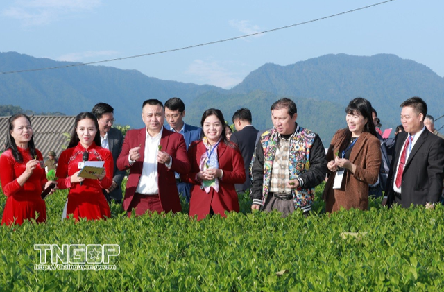 Lễ hội 'Th&aacute;i Nguy&ecirc;n - Hương sắc danh tr&agrave;' 2025- Ảnh 3.