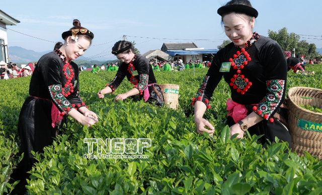 C&aacute;c th&iacute; sinh tham gia phần thi h&aacute;i ch&egrave;.
