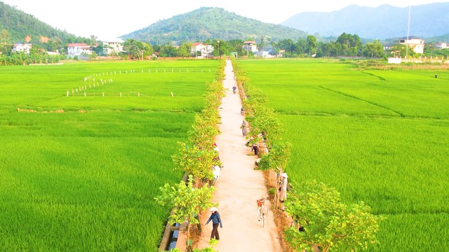 Từ l&agrave;ng qu&ecirc; xanh đến đ&ocirc; thị sinh th&aacute;i: H&agrave;nh tr&igrave;nh mới của x&acirc;y dựng n&ocirc;ng th&ocirc;n Y&ecirc;n Xu&acirc;n trong d&ograve;ng chảy ph&aacute;t triển- Ảnh 1.