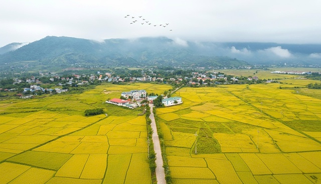 Từ l&agrave;ng qu&ecirc; xanh đến đ&ocirc; thị sinh th&aacute;i: H&agrave;nh tr&igrave;nh mới của x&acirc;y dựng n&ocirc;ng th&ocirc;n Y&ecirc;n Xu&acirc;n trong d&ograve;ng chảy ph&aacute;t triển- Ảnh 2.