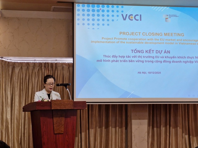 B&agrave; Trần Thị Lan Anh - Tổng Thư k&yacute; VCCI ph&aacute;t biểu khai mạc tại Hội nghị tổng kết Dự &aacute;n.