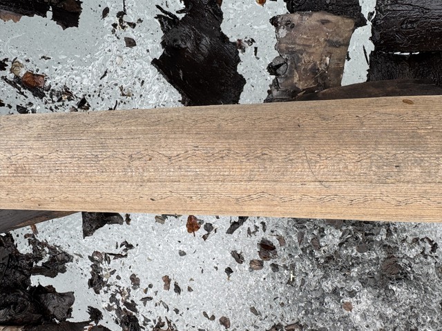 Băng tr&ecirc;n đỉnh n&uacute;i tan chảy, để lộ ra những thứ con người kh&ocirc;ng d&aacute;m tin v&agrave;o mắt m&igrave;nh- Ảnh 1.