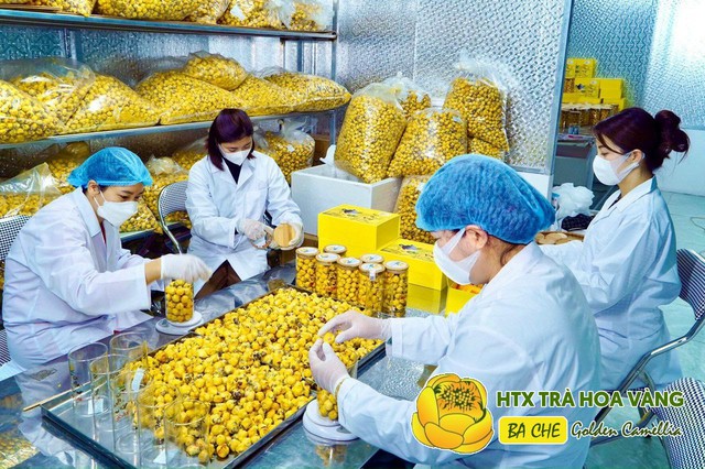 Ph&aacute;t huy vai tr&ograve; đồng h&agrave;nh của tổ chức Đo&agrave;n trong hỗ trợ thanh ni&ecirc;n lập nghiệp, khởi nghiệp, ph&aacute;t triển kinh tế ở x&atilde; Ba Chẽ- Ảnh 1.