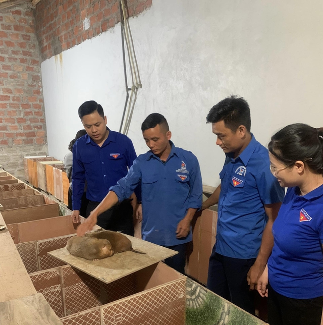 Ph&aacute;t huy vai tr&ograve; đồng h&agrave;nh của tổ chức Đo&agrave;n trong hỗ trợ thanh ni&ecirc;n lập nghiệp, khởi nghiệp, ph&aacute;t triển kinh tế ở x&atilde; Ba Chẽ- Ảnh 3.