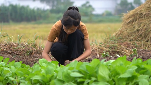 Nam MC 42 tuổi VTV quay mặt bật kh&oacute;c nức nở, kh&ocirc;ng dẫn nổi chương tr&igrave;nh- Ảnh 2.