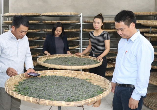 HTX D&acirc;u tằm Hạnh L&ecirc; &ndash; Điểm s&aacute;ng kinh tế n&ocirc;ng th&ocirc;n- Ảnh 1.