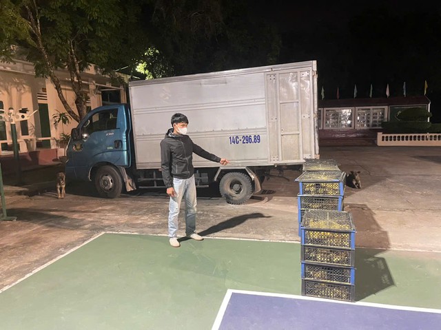 Đồn Bi&ecirc;n ph&ograve;ng Bắc Sơn thu giữ hơn 2.000 con giống gia cầm kh&ocirc;ng r&otilde; nguồn gốc- Ảnh 2.