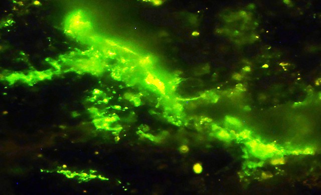 Một tảng đá 2 tỷ năm tuổi vừa nứt ra, để lộ bên trong bí mật chấn động- Ảnh 2. Một tảng đá 2 tỷ năm tuổi vừa nứt ra, để lộ bên trong bí mật chấn động- Ảnh 2.