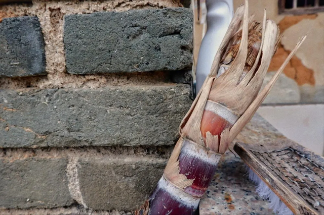 Top 6 loại trái cây dễ ăn sai cách nhất mùa đông- Ảnh 1. Top 6 loại trái cây dễ ăn sai cách nhất mùa đông- Ảnh 1.