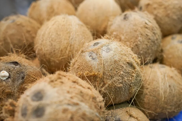 Top 6 loại trái cây dễ ăn sai cách nhất mùa đông- Ảnh 3. Top 6 loại trái cây dễ ăn sai cách nhất mùa đông- Ảnh 3.