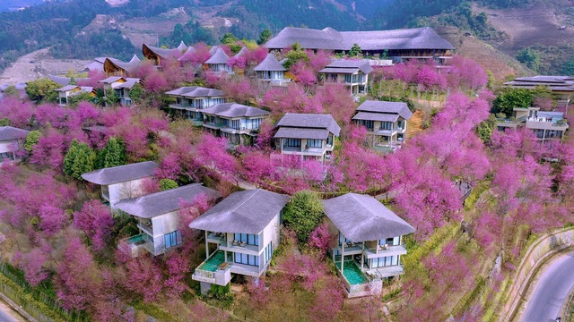 Kh&aacute;ch sạn nghỉ dưỡng Garrya M&ugrave; Cang Chải đạt ti&ecirc;u chuẩn 5 sao ngập tr&agrave;n sắc thắm hoa Tớ D&agrave;y.