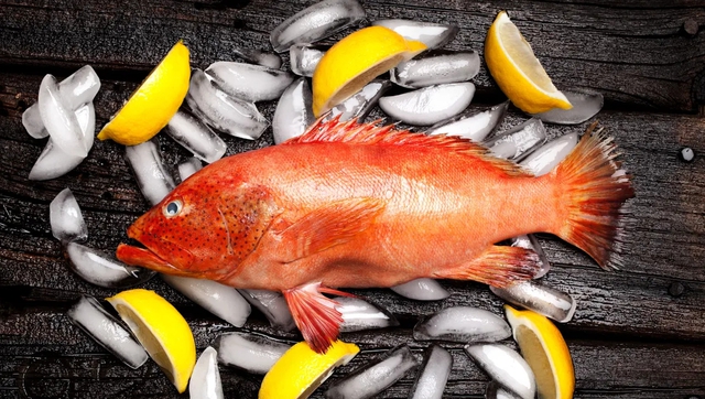 6 loại c&aacute; chứa nhiều thủy ng&acirc;n bậc nhất- Ảnh 3.