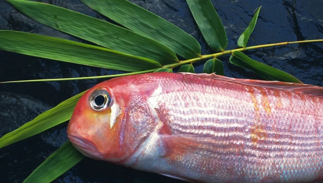 6 loại c&aacute; chứa nhiều thủy ng&acirc;n bậc nhất- Ảnh 1.