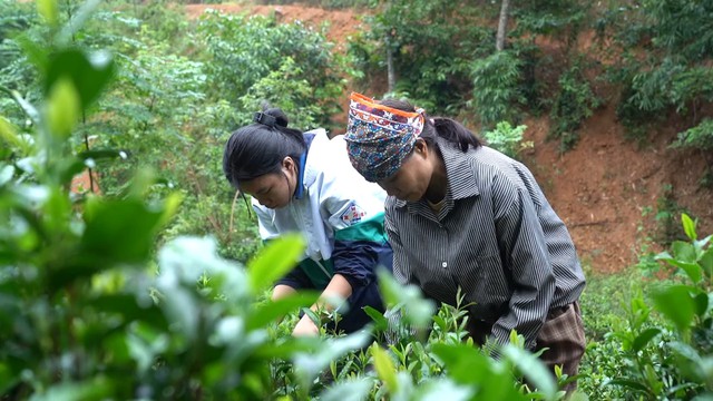Hoa hậu Việt Nam 2024: "T&ocirc;i ước mơ trở th&agrave;nh giảng vi&ecirc;n"- Ảnh 2.