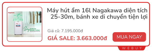 5 mẫu máy hút ẩm dưới 4 triệu đồng đang sale: Dùng ổn, nhiều chức năng thú vị- Ảnh 5.