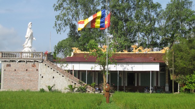 Đền Trúc nằm giữa ba bề bốn bên là những cánh đồng lúa.