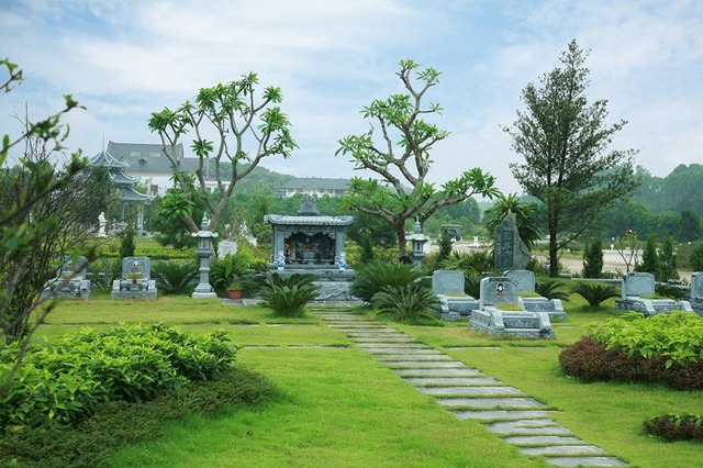 Các cụ nói KHÔNG trồng 3 cây trước mộ, cây thịnh người suy, con cháu 3 đời thất bát- Ảnh 1. Các cụ nói KHÔNG trồng 3 cây trước mộ, cây thịnh người suy, con cháu 3 đời thất bát- Ảnh 1.