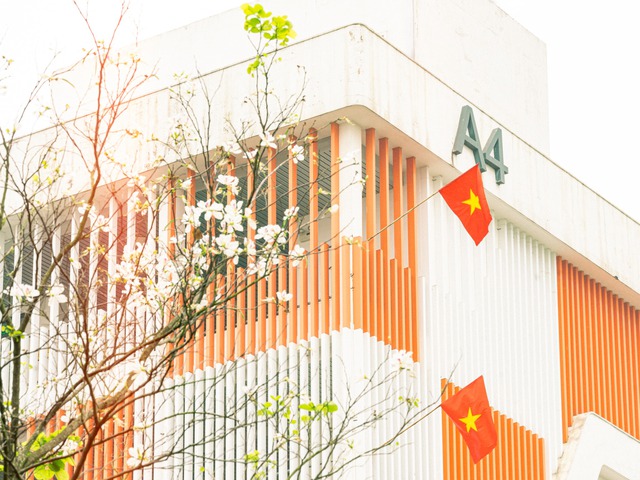 Một trường đại học ngập trong sắc cờ đỏ sao vàng khiến ai lướt qua cũng phải dừng chân: Quá xúc động và tự hào!- Ảnh 5. Một trường đại học ngập trong sắc cờ đỏ sao vàng khiến ai lướt qua cũng phải dừng chân: Quá xúc động và tự hào!- Ảnh 5.