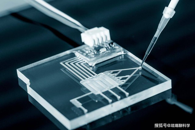 Ngành công nghiệp chip của Trung Quốc có thể gặp khó khi 90% chất cản quang đều đến từ Nhật Bản- Ảnh 2. Ngành công nghiệp chip của Trung Quốc có thể gặp khó khi 90% chất cản quang đều đến từ Nhật Bản- Ảnh 2.
