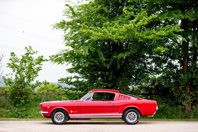 Tại sao Ford Mustang, chiếc xe được giới thiệu tại một hội chợ lại có thể định hình lại cả nền công nghiệp ô tô Hoa Kỳ?- Ảnh 4. Tại sao Ford Mustang, chiếc xe được giới thiệu tại một hội chợ lại có thể định hình lại cả nền công nghiệp ô tô Hoa Kỳ?- Ảnh 4.