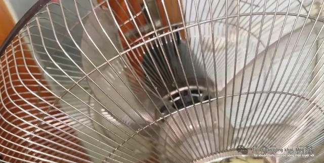 5 phút vệ sinh quạt điện không cần tháo khung, phụ nữ cũng làm "ngon lành", sạch bong như mới- Ảnh 7. 5 phút vệ sinh quạt điện không cần tháo khung, phụ nữ cũng làm "ngon lành", sạch bong như mới- Ảnh 7.