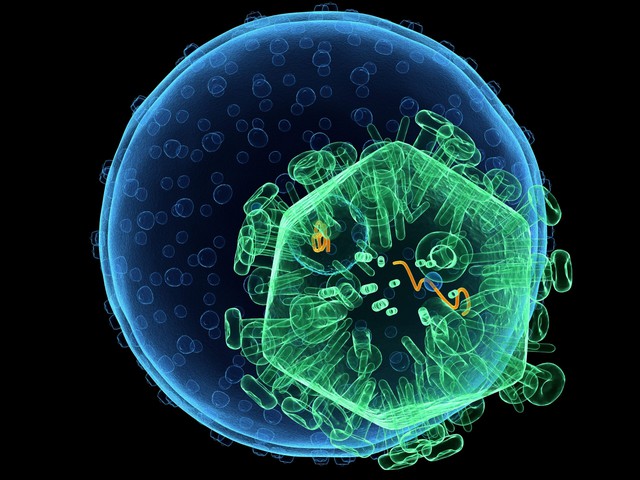 Hơn 40 năm trước, hai nhà khoa học người Pháp đã phát hiện ra loại virus làm thay đổi hoàn toàn lịch sử y học hiện đại- Ảnh 6. Hơn 40 năm trước, hai nhà khoa học người Pháp đã phát hiện ra loại virus làm thay đổi hoàn toàn lịch sử y học hiện đại- Ảnh 6.