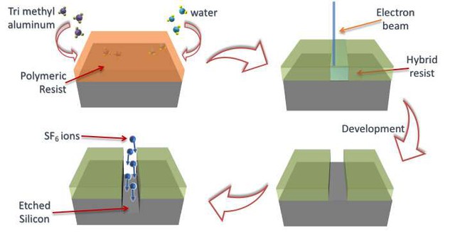 Gấu nước: Sinh vật lì lợm nhất hành tinh, không sợ trời, không sợ đất, vừa bị các nhà khoa học đè ra xăm mình- Ảnh 6. Gấu nước: Sinh vật lì lợm nhất hành tinh, không sợ trời, không sợ đất, vừa bị các nhà khoa học đè ra xăm mình- Ảnh 6.