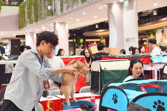 Hội cô, cậu chủ mặc Việt phục, trang điểm từ 12h đêm để sáng sớm để đưa "hoàng thượng... hồi cung"- Ảnh 17.
