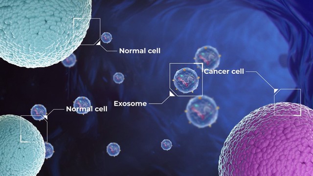 Startup sử dụng AI để phát hiện sớm ung thư bằng microRNA nhận khoản đầu tư 22 triệu Đô- Ảnh 3. Startup sử dụng AI để phát hiện sớm ung thư bằng microRNA nhận khoản đầu tư 22 triệu Đô- Ảnh 3.