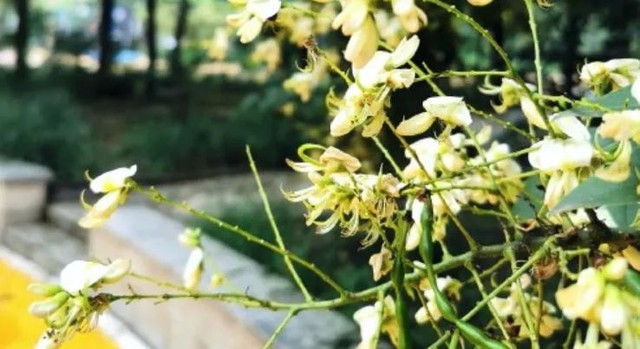 4 thứ trong nhà sẽ biến thành "ổ chứa" nấm mốc nếu bạn bỏ qua: Để tôi bày cách xử lý- Ảnh 5. 4 thứ trong nhà sẽ biến thành "ổ chứa" nấm mốc nếu bạn bỏ qua: Để tôi bày cách xử lý- Ảnh 5.