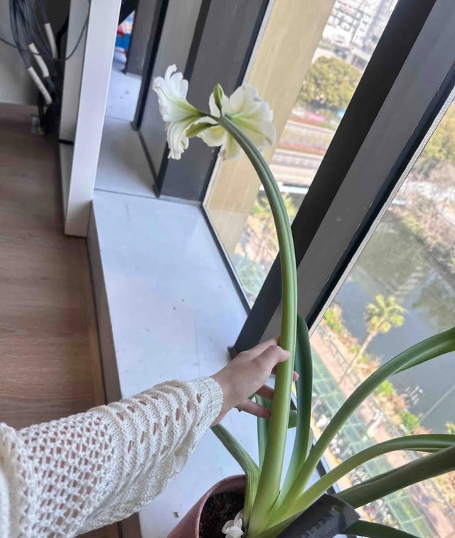 Bức ảnh đang viral chóng mặt khiến 1 triệu người thốt lên "đủ wow rồi!"- Ảnh 3.