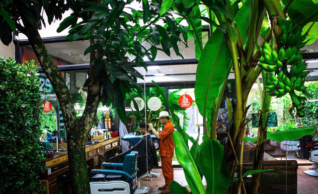 Chi hàng trăm triệu phủ xanh, chuỗi tiệm cắt tóc khiến khách choáng ngợp khi bước vào, tưởng sai địa chỉ- Ảnh 1. Chi hàng trăm triệu phủ xanh, chuỗi tiệm cắt tóc khiến khách choáng ngợp khi bước vào, tưởng sai địa chỉ- Ảnh 1.